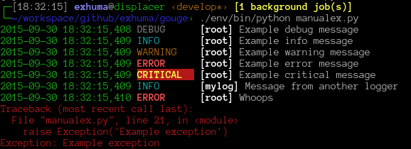 Console output of gouge: time stamps in green, the level names DEBUG in grey, INFO in cyan, WARNING in yellow, ERROR in red and CRITICAL in yellow on red, logger names in bold, and a traceback in red.